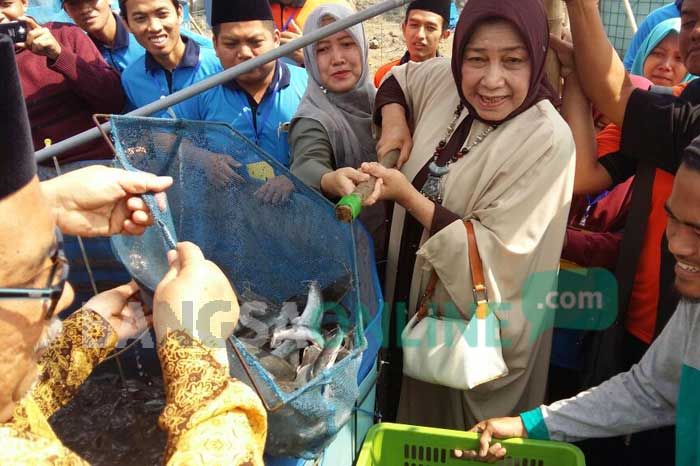 Ternak Lele Sistem Bioflok, Gus Solah Dorong Santri Tingkatkan Konsumsi Protein Masyarakat Ternak Lele Sistem Bioflok, Gus Solah Dorong Santri Tingkatkan Konsumsi Protein Masyarakat
