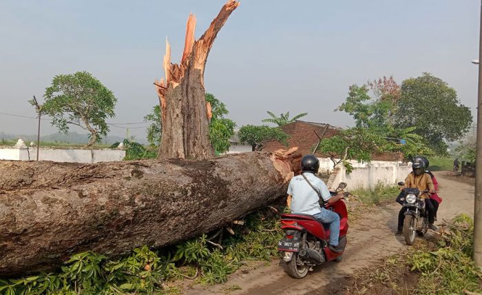 Puting Beliung Porak-porandakan Puluhan Rumah di Sidoarjo Puting Beliung Porak-porandakan Puluhan Rumah di Sidoarjo
