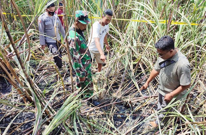 Warga Blitar Ditemukan Tewas Terbakar di Tengah Ladang Tebu, Alami Luka Bakar hingga 75 Persen Warga Blitar Ditemukan Tewas Terbakar di Tengah Ladang Tebu, Alami Luka Bakar hingga 75 Persen