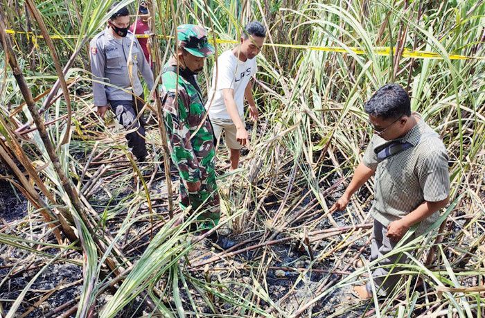 Warga Blitar Ditemukan Tewas Terbakar di Tengah Ladang Tebu, Alami Luka Bakar hingga 75 Persen