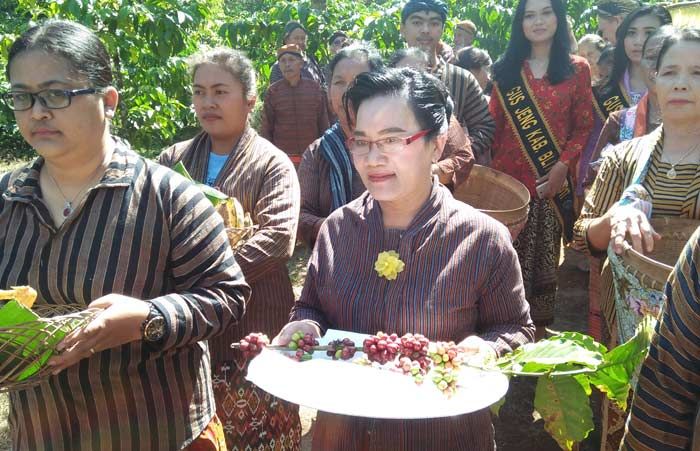 Mengarak Pengantin Kopi di Keboen Kopi Karanganjar Mengarak Pengantin Kopi di Keboen Kopi Karanganjar