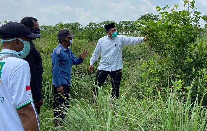 Gali Potensi Desa di Sidoarjo, BHS Siap Kembangkan Pertanian Jeruk