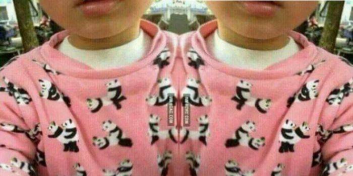 Baju Anak dengan Gambar tak Senonoh Beredar di Indonesia Baju Anak dengan Gambar tak Senonoh Beredar di Indonesia