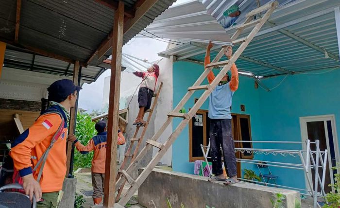 Diterjang Angin Kencang, Atap TPS Pasar Induk Among Tani Timpa Tiga Rumah Warga Diterjang Angin Kencang, Atap TPS Pasar Induk Among Tani Timpa Tiga Rumah Warga