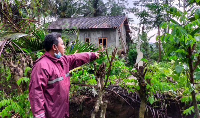 Dalam Sehari, 6 Rumah Warga di Kecamatan Doko Blitar Tertimpa Pohon Tumbang Dalam Sehari, 6 Rumah Warga di Kecamatan Doko Blitar Tertimpa Pohon Tumbang