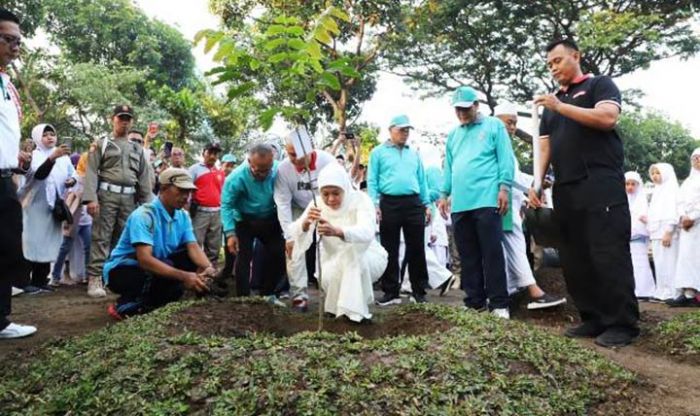 ​Tanam Pohon Matoa, Gubernur Khofifah Harap Persaudaraan Jatim-Papua Tumbuh Subur