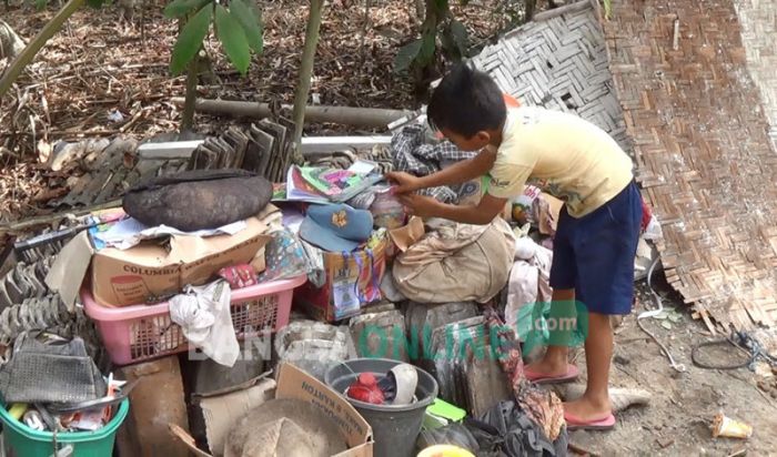 Pohon Tumbang Timpa Rumah Warga Blitar Hingga Rata dengan Tanah