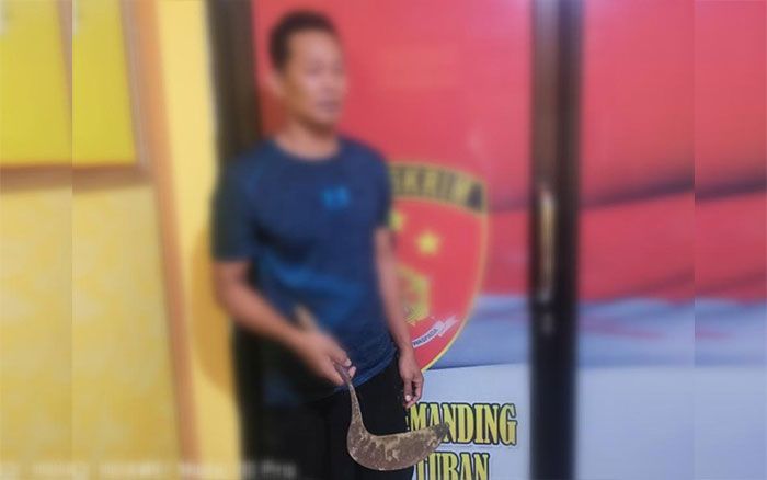 Dituding Buang Bangkai Tikus, Pria di Tuban Bacok Tetangganya Dituding Buang Bangkai Tikus, Pria di Tuban Bacok Tetangganya