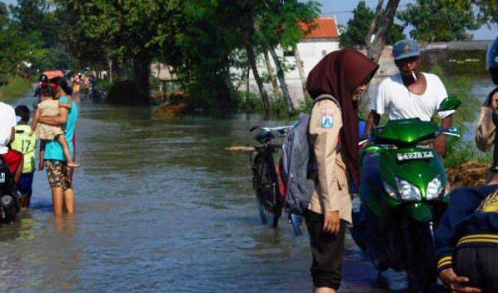 Lamongan Banjir lagi, Sawah Terendam lagi, Petani Minta Pemkab Normalisasi Sungai