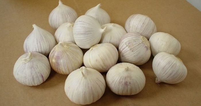 Turunkan Kolesterol, Kurangi Gula Darah, Cegah Kanker, Bawang Putih Digunakan di Seluruh Dunia Turunkan Kolesterol, Kurangi Gula Darah, Cegah Kanker, Bawang Putih Digunakan di Seluruh Dunia