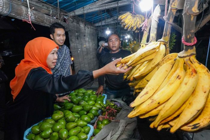 Gubernur Khofifah Bagikan Sembako dan Borong Pisang Agung di Pasar Ranuyoso Lumajang Gubernur Khofifah Bagikan Sembako dan Borong Pisang Agung di Pasar Ranuyoso Lumajang