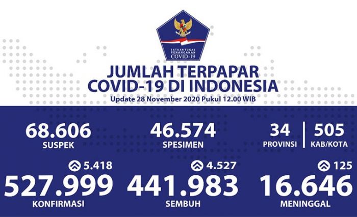 Pasien Sembuh Covid-19 Terus Bertambah Menjadi 441.983 Orang