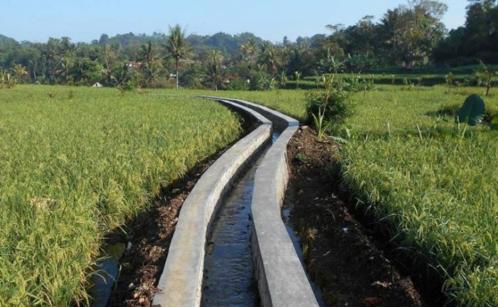 Perbaikan Jaringan Irigasi di Kabupaten Pasuruan Molor dari Target