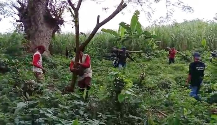 Relawan Oleng-Oleng Kediri Gelar Aksi Tanam dan Perawatan Pohon di Sumber Banaran