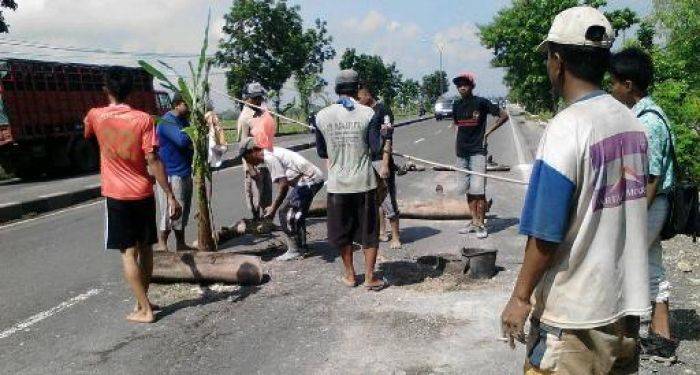 Jalan Rusak, Warga Tanami Pohon Pisang Jalan Surabaya-Babat Lamongan