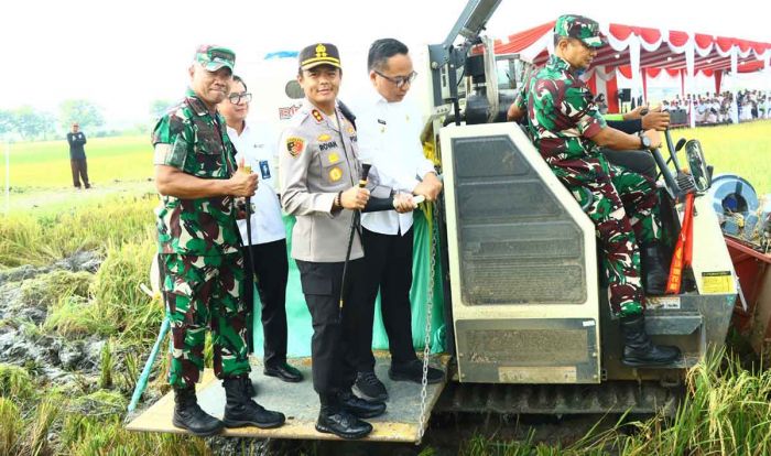 Sejumlah Pejabat di Gresik ini Kompak Hadiri Panen Raya Padi Serentak Sejumlah Pejabat di Gresik ini Kompak Hadiri Panen Raya Padi Serentak