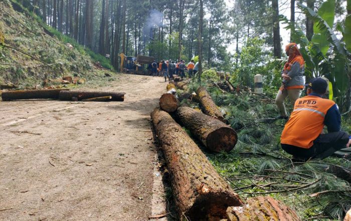 Cuaca dan Medan Jadi Kendala Pembersihan Material Longsor di Desa Tlogosari Cuaca dan Medan Jadi Kendala Pembersihan Material Longsor di Desa Tlogosari