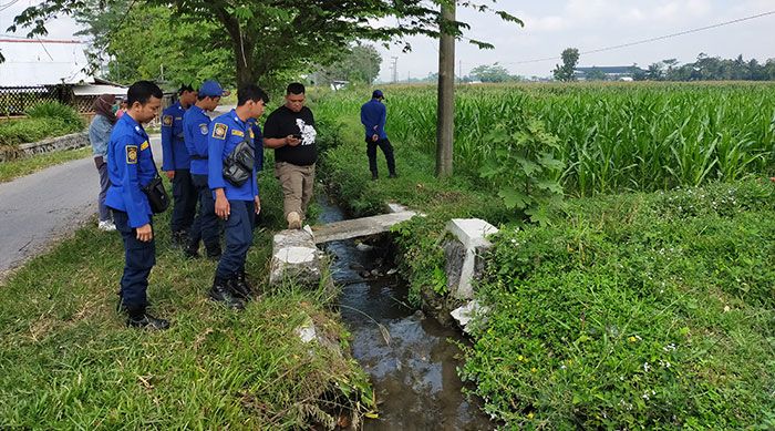 Warga Nglegok Blitar Tewas Dililit Ular, Damkar Sisir Lokasi Kejadian Warga Nglegok Blitar Tewas Dililit Ular, Damkar Sisir Lokasi Kejadian