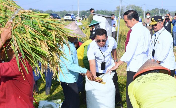 Kunjungan ke Ngawi, Presiden Jokowi Panen Raya Padi dan Pantau Harga Kebutuhan Pokok Kunjungan ke Ngawi, Presiden Jokowi Panen Raya Padi dan Pantau Harga Kebutuhan Pokok