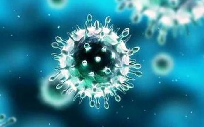 Pasien Covid-19 di Pacitan Bertambah 1 Orang: Hasil Tracing, 34 Orang Harus Di-Rapid Test Pasien Covid-19 di Pacitan Bertambah 1 Orang: Hasil Tracing, 34 Orang Harus Di-Rapid Test