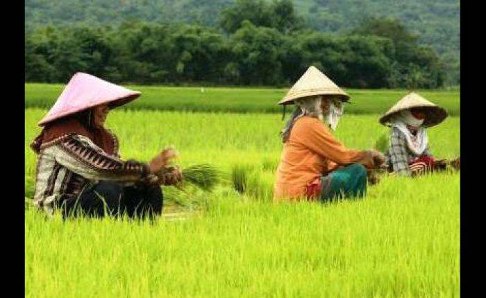 Pupuk Indonesia Siap Penuhi Kebutuhan Petani Pada Musim Tanam Pupuk Indonesia Siap Penuhi Kebutuhan Petani Pada Musim Tanam