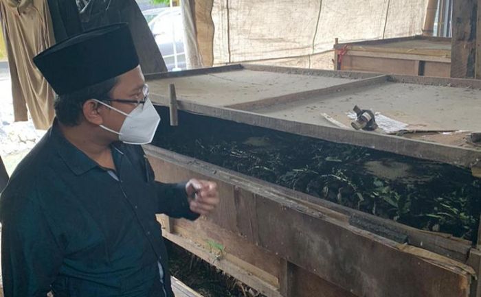 Punya Potensi, Gus Muhdlor Siap Kembangkan Desa Ploso Jadi Kampung Jangkrik Punya Potensi, Gus Muhdlor Siap Kembangkan Desa Ploso Jadi Kampung Jangkrik
