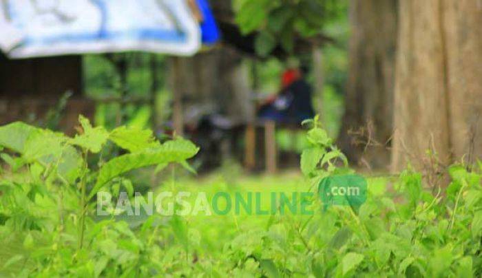 Libur Tahun Baru, Obyek Wisata Bojonegoro Dipenuhi Muda-mudi Mesum Libur Tahun Baru, Obyek Wisata Bojonegoro Dipenuhi Muda-mudi Mesum