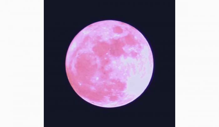 Apakah Bulan Benar-Benar Berwarna Merah Muda Ketika Fenomena Pink Moon? Apakah Bulan Benar-Benar Berwarna Merah Muda Ketika Fenomena Pink Moon?