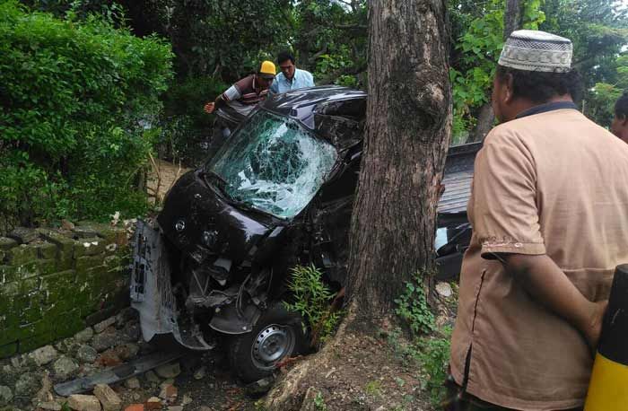 Laka Tunggal di Senori, Grand Max Ringsek Tabrak Pohon Laka Tunggal di Senori, Grand Max Ringsek Tabrak Pohon