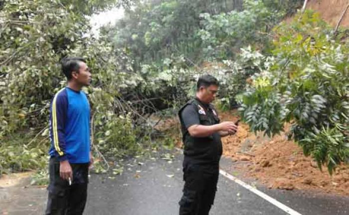 Longsor di Desa Pamoroh Kecamatan Kadur Tutup Akses Jalan Provinsi
