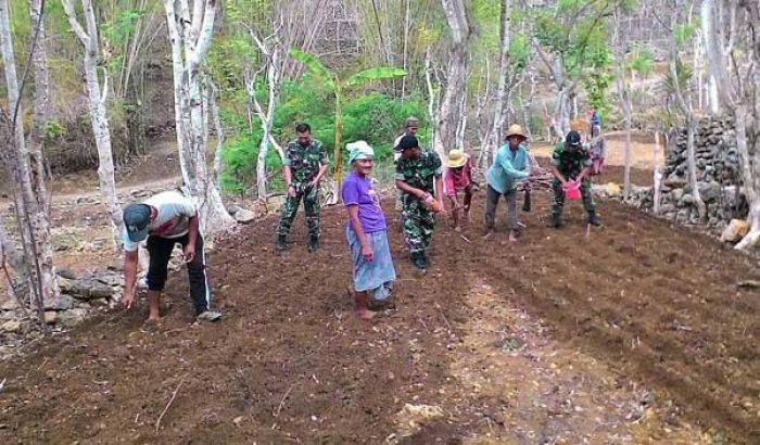 Koramil Bluto Sumenep Ajak Masyarakat Sukseskan Program UPSUS Ketahanan Pangan   