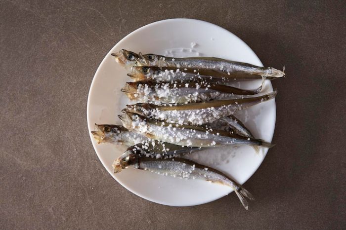 Tak Cuma Viral, Ikan Shisamo Miliki 3 Manfaat Penting untuk Kesehatan Tak Cuma Viral, Ikan Shisamo Miliki 3 Manfaat Penting untuk Kesehatan