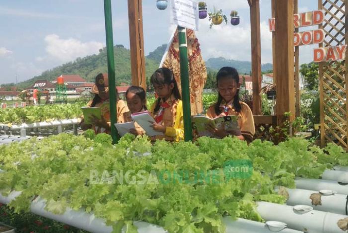 Trenggalek Agropark Dimanfaatkan oleh Para Siswa untuk Belajar Tentang Pertanian dan Peternakan Trenggalek Agropark Dimanfaatkan oleh Para Siswa untuk Belajar Tentang Pertanian dan Peternakan