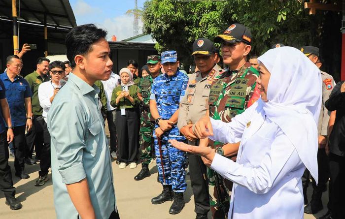 Dampingi Wapres Tinjau Pabrik Beras di Ngawi, Khofifah: Jatim Kontributor Padi Tertinggi Nasional Dampingi Wapres Tinjau Pabrik Beras di Ngawi, Khofifah: Jatim Kontributor Padi Tertinggi Nasional