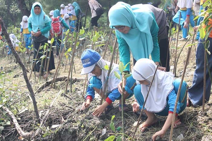 Peringati Hari Air Sedunia, SD Al Muslim Sidoarjo Tanam Seribu Mangrove Peringati Hari Air Sedunia, SD Al Muslim Sidoarjo Tanam Seribu Mangrove
