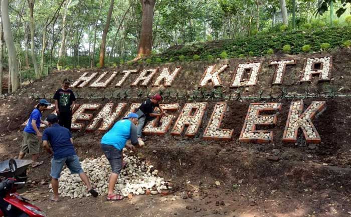 Disebut Tak Hasilkan PAD, Ketua Kompi Hutan Kota Tantang Komisi II DPRD Trenggalek Gelar Hearing