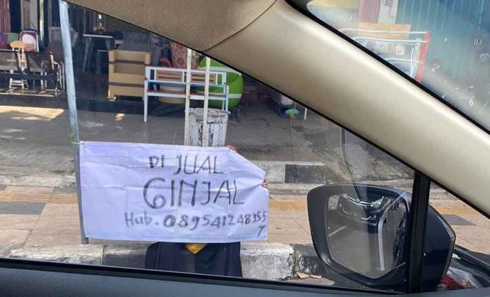 Terbelit Hutang Ratusan Juta, Seorang Ibu di Tuban Nekat Jual Ginjalnya Terbelit Hutang Ratusan Juta, Seorang Ibu di Tuban Nekat Jual Ginjalnya
