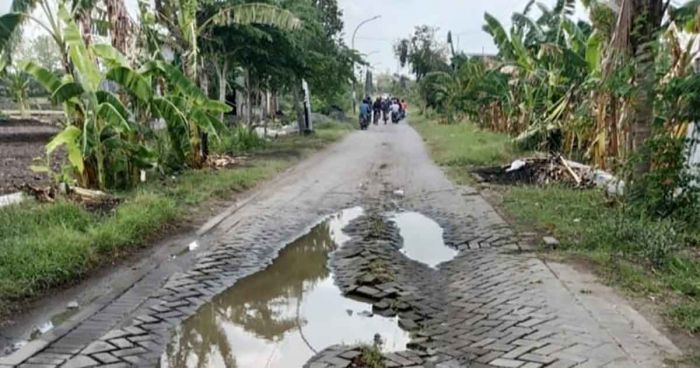 Jalan Rusak Parah, Kades Ngampel Desak Pemkab Gresik Segera Lakukan Perbaikan Jalan Rusak Parah, Kades Ngampel Desak Pemkab Gresik Segera Lakukan Perbaikan