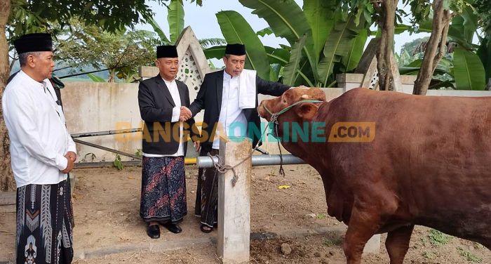 Pemkab Madiun Salurkan 40 Hewan Kurban ke Masjid dan Ponpes