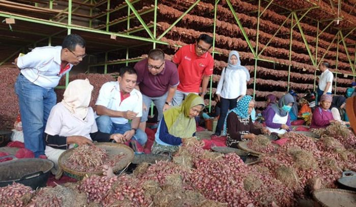 Dirut Petrokimia Gresik Panen Bawang Merah di Brebes