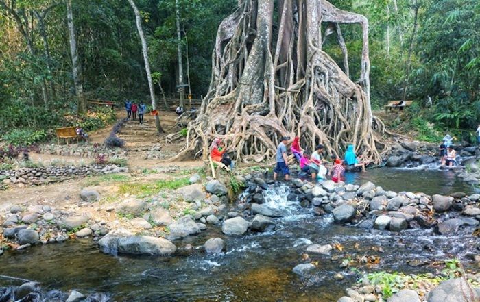 Penasaran, Masyarakat Datangi Wisata Alam Akar Seribu di Gondang Mojokerto