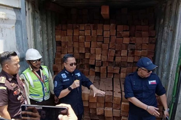 Puluhan Kontainer Berisi Kayu Ilegal di Surabaya Diamankan KLHK Puluhan Kontainer Berisi Kayu Ilegal di Surabaya Diamankan KLHK