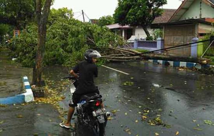 Puting Beliung Porak Porandakan Rumah-rumah di Pacitan Puting Beliung Porak Porandakan Rumah-rumah di Pacitan