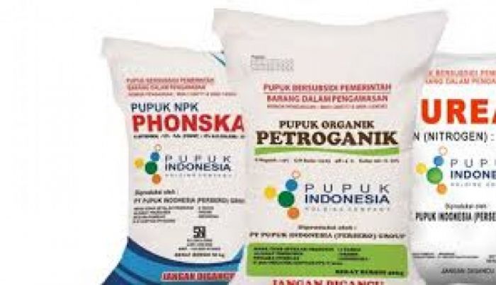 Pupuk Bersubsidi Menyusut, Kabupaten Probolinggo Hanya Kebagian 90.997 Ton Pupuk Bersubsidi Menyusut, Kabupaten Probolinggo Hanya Kebagian 90.997 Ton