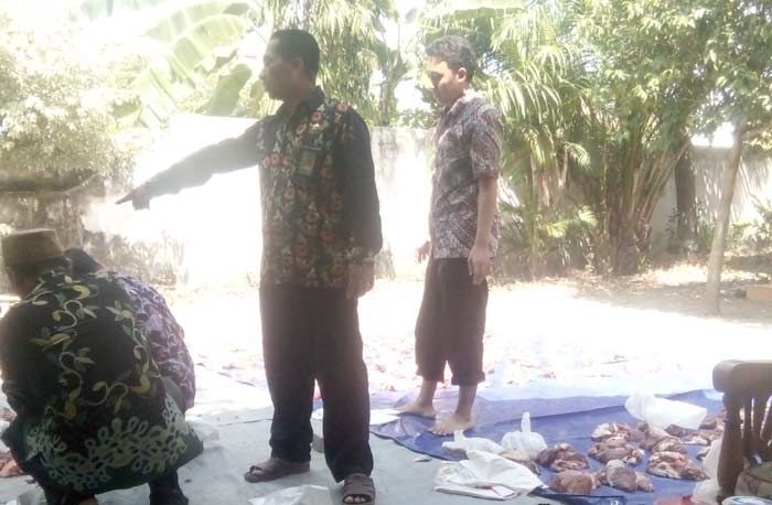 Idul Adha, Kemenag Lamongan Sembelih 4 Ekor Sapi Idul Adha, Kemenag Lamongan Sembelih 4 Ekor Sapi