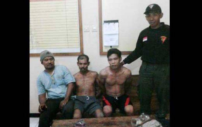 Polisi kembali Tangkap Dua Pencuri Kayu Jati di Ngawi Polisi kembali Tangkap Dua Pencuri Kayu Jati di Ngawi