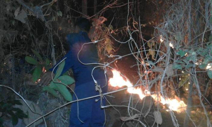 Bakar Sampah, Hutan 4 Hektare Ludes Dilalap Api Bakar Sampah, Hutan 4 Hektare Ludes Dilalap Api