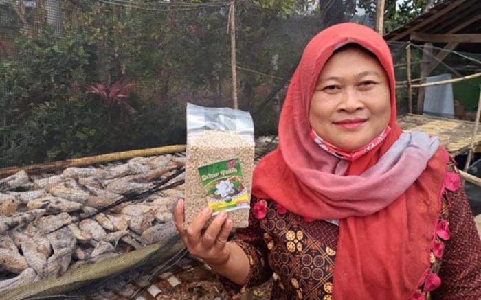 Warga Pagung Kediri Berinovasi Buat Menu Tiwul Organik Dalam Kemasan, Cegah Diabetes & Kolesterol Warga Pagung Kediri Berinovasi Buat Menu Tiwul Organik Dalam Kemasan, Cegah Diabetes & Kolesterol