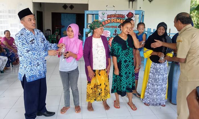 Basmi Jentik Nyamuk, Camat Balongpanggang Bagikan Ikan Cupang Basmi Jentik Nyamuk, Camat Balongpanggang Bagikan Ikan Cupang