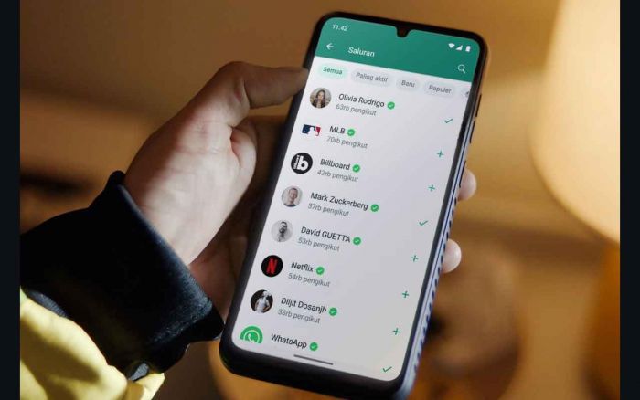 Whatsapp Makan Banyak Memori Internal, Ini Cara Kelola Penyimpanan Agar Tidak Penuh